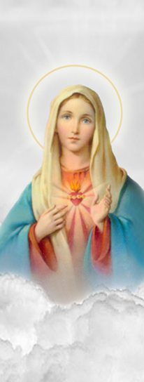 D PL SHEF 108 WT Immaculate Heart Clouds White PROOF